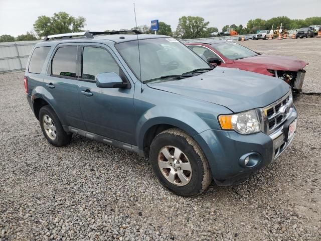 2010 Ford Escape Limited