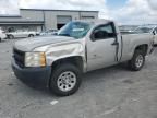 2009 Chevrolet Silverado C1500