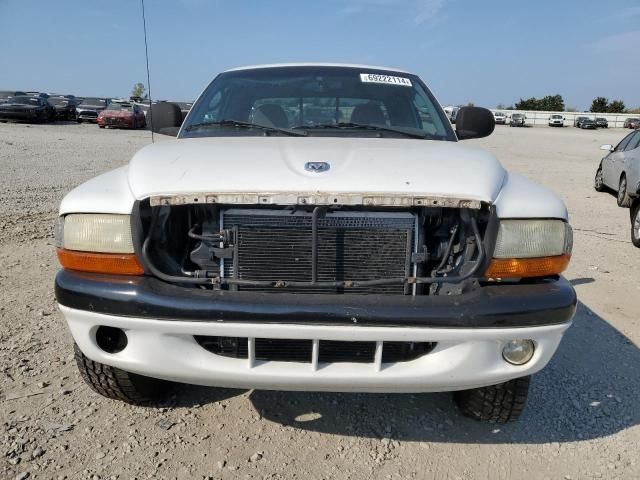 2000 Dodge Dakota