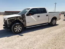 Salvage cars for sale at Andrews, TX auction: 2013 Ford F150 Supercrew