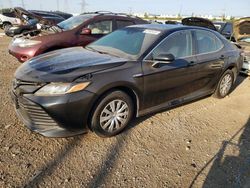 Salvage cars for sale at Elgin, IL auction: 2019 Toyota Camry LE