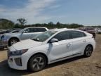 2019 Hyundai Ioniq SEL