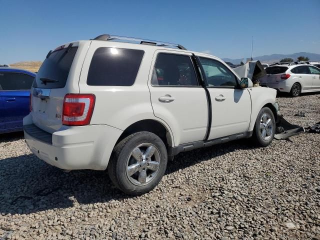 2010 Ford Escape Limited