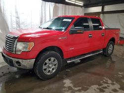 Ford salvage cars for sale: 2011 Ford F150 Supercrew