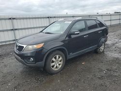 Salvage cars for sale at Fredericksburg, VA auction: 2011 KIA Sorento Base