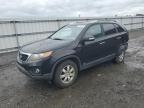 2011 KIA Sorento Base