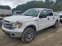 Salvage cars for sale at Seaford, DE auction: 2013 Ford F150 Supercrew