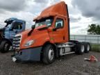 2019 Freightliner Cascadia 116