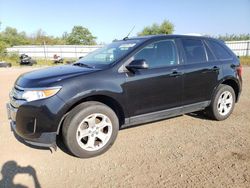 Salvage cars for sale at Columbia Station, OH auction: 2014 Ford Edge SEL