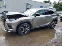 Salvage cars for sale at Lyman, ME auction: 2021 Lexus NX 300 Base