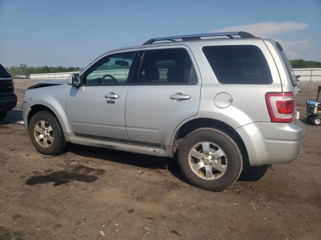 2011 Ford Escape Limited