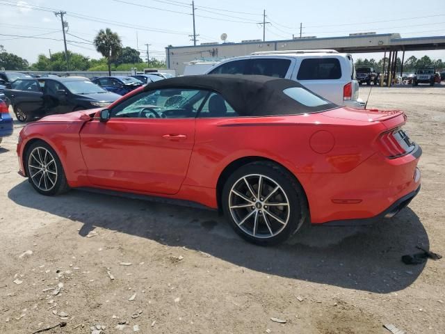 2019 Ford Mustang