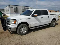 Salvage trucks for sale at Bismarck, ND auction: 2014 Ford F150 Supercrew