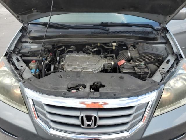 2010 Honda Odyssey EXL