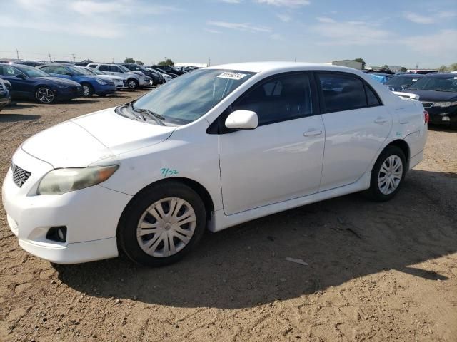 2009 Toyota Corolla Base