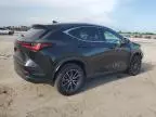 2024 Lexus NX 250 Premium