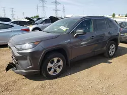 Salvage cars for sale at Elgin, IL auction: 2021 Toyota Rav4 LE