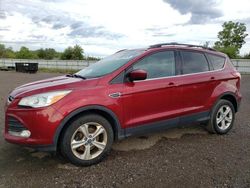 Ford salvage cars for sale: 2013 Ford Escape SE