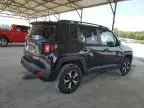 2019 Jeep Renegade Trailhawk