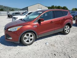 Salvage cars for sale from Copart Lawrenceburg, KY: 2014 Ford Escape SE