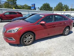 Salvage cars for sale at Walton, KY auction: 2016 Hyundai Sonata SE