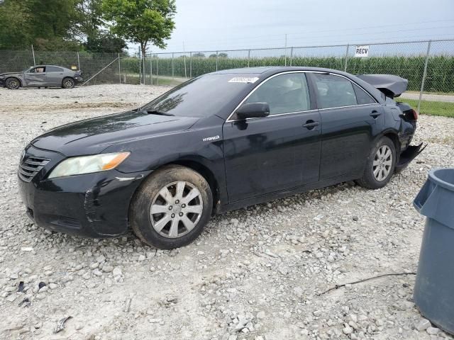 2009 Toyota Camry Hybrid