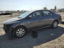 Salvage cars for sale at Eugene, OR auction: 2011 Toyota Corolla Base