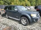 2008 Ford Escape HEV