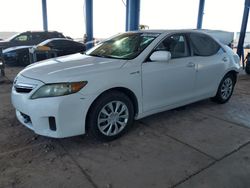 Salvage cars for sale at Phoenix, AZ auction: 2011 Toyota Camry Hybrid