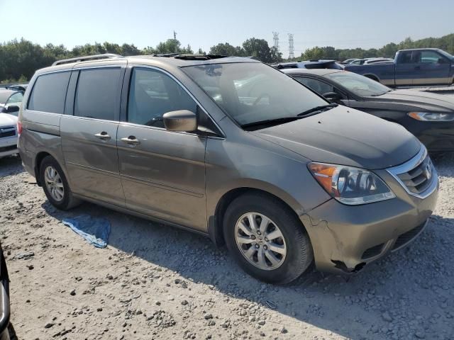 2010 Honda Odyssey EXL