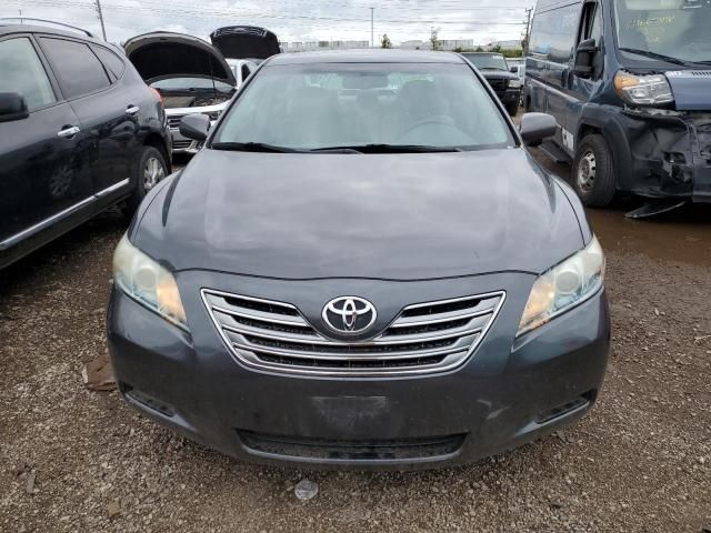 2009 Toyota Camry Hybrid