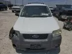 2006 Ford Escape XLT