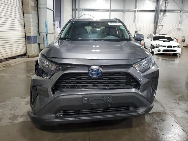 2019 Toyota Rav4 LE