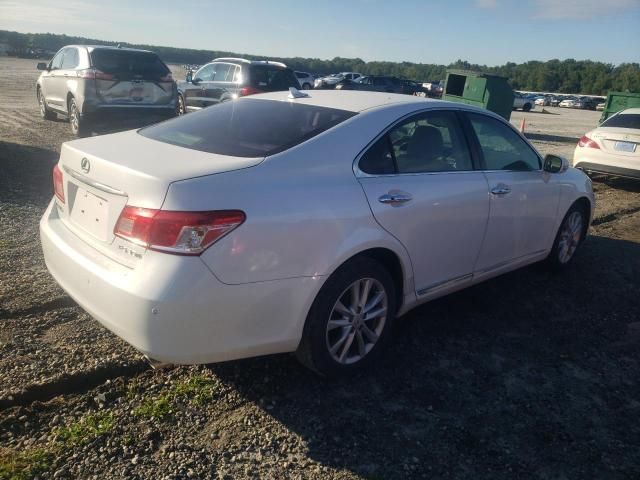 2010 Lexus ES 350