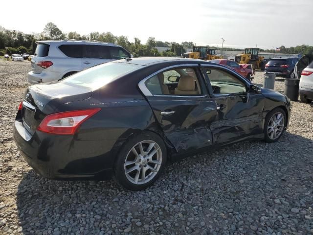 2009 Nissan Maxima S