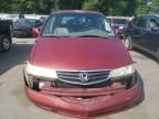 2004 Honda Odyssey EXL