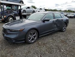 Salvage cars for sale from Copart Hillsborough, NJ: 2023 Honda Accord EX