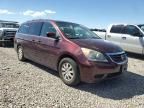 2008 Honda Odyssey EXL