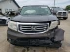 2015 Honda Pilot EXL