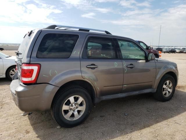 2010 Ford Escape Limited