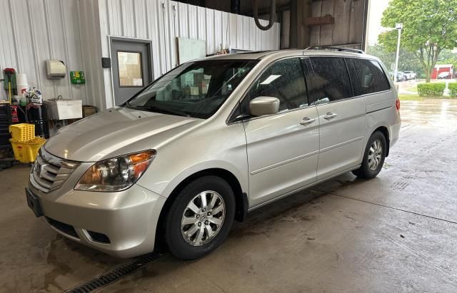 2008 Honda Odyssey EXL