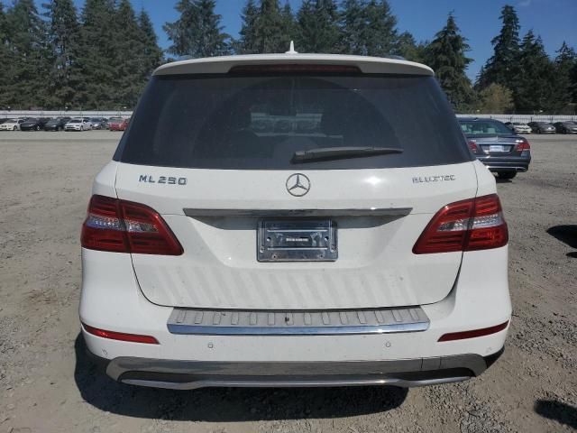 2015 Mercedes-Benz ML 250 Bluetec