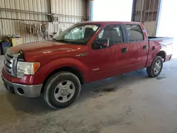 Salvage cars for sale from Copart Abilene, TX: 2011 Ford F150 Supercrew