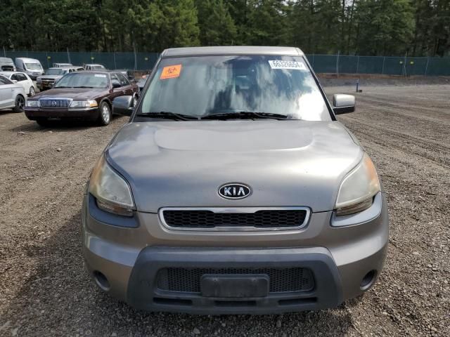 2010 KIA Soul +