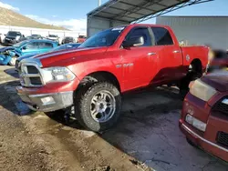 Salvage cars for sale from Copart Albuquerque, NM: 2009 Dodge RAM 1500