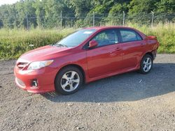 Toyota salvage cars for sale: 2011 Toyota Corolla Base