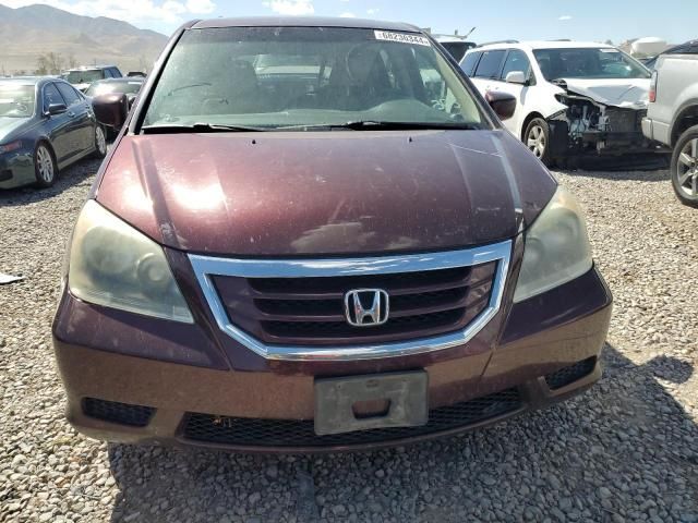 2008 Honda Odyssey EXL