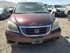 2008 Honda Odyssey EXL