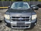 2008 Ford Escape HEV