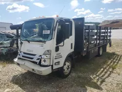 Salvage trucks for sale at Gainesville, GA auction: 2023 Isuzu NPR HD